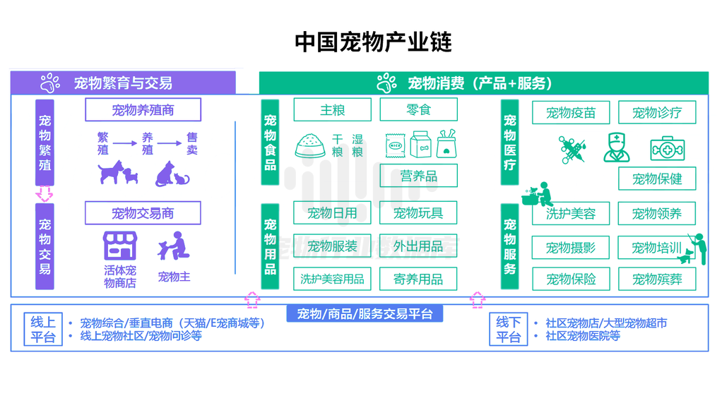 2022年中国宠物消费洞察报告